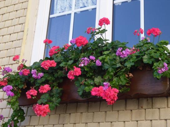 Пансион Landgasthof  Zur Quelle