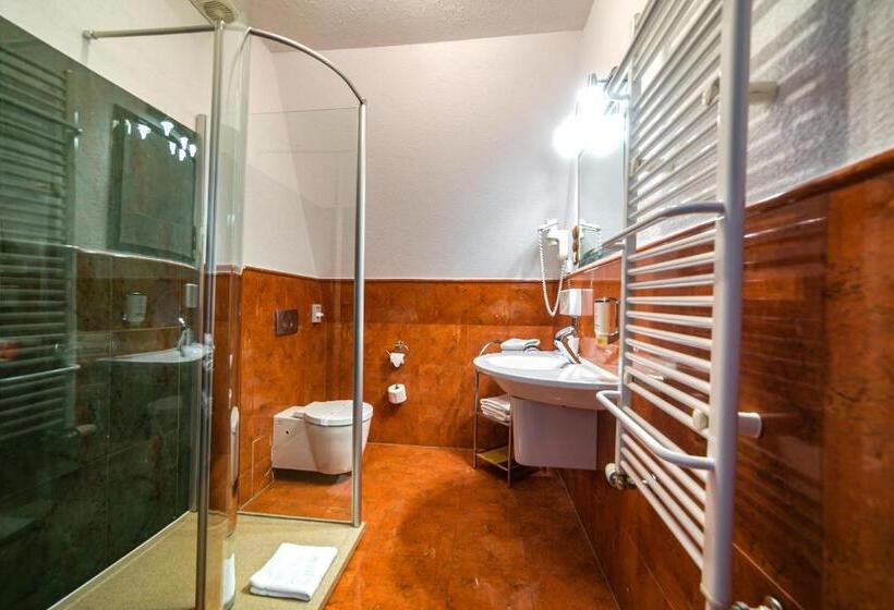 בית מלון כפרי Jelenia Struga Medical Spa