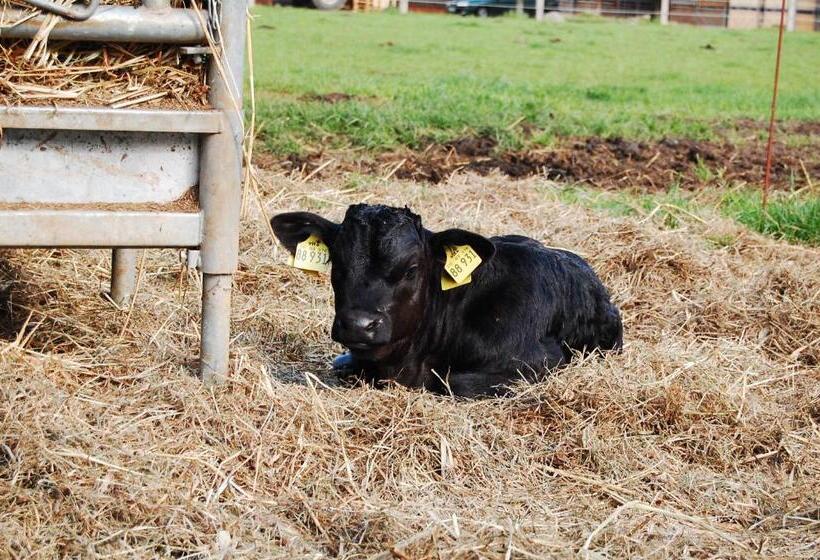 Land Gut Hotel Allerhof