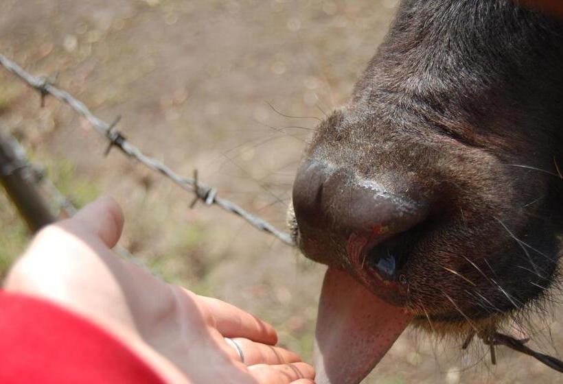 Land Gut Hotel Allerhof