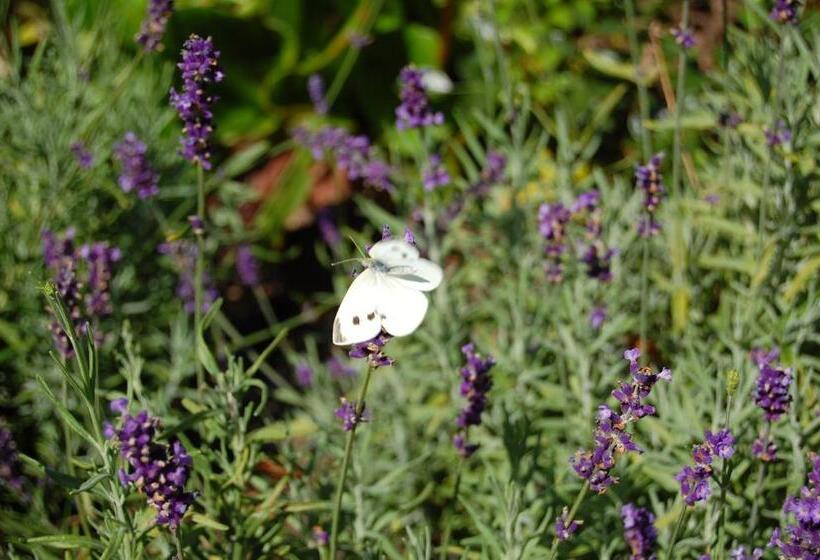 Land Gut Hotel Allerhof