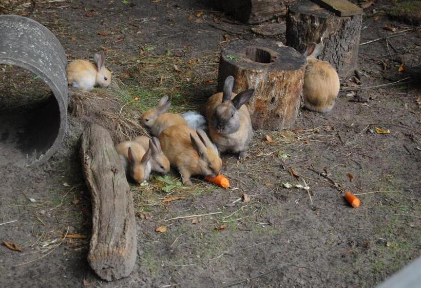 Land Gut Hotel Allerhof