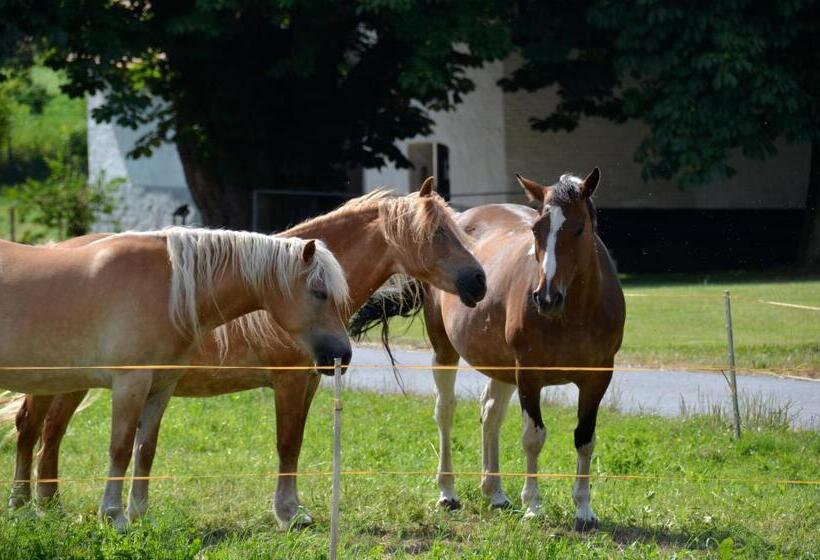 Landhotel Sulzbacher Hof