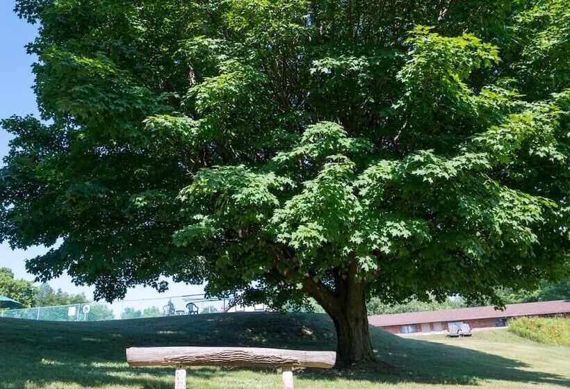 モーテル Inn At The Alpine