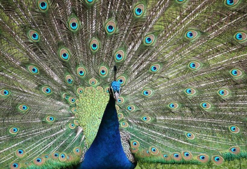 Naturidyll Hotel Hammerschmiede