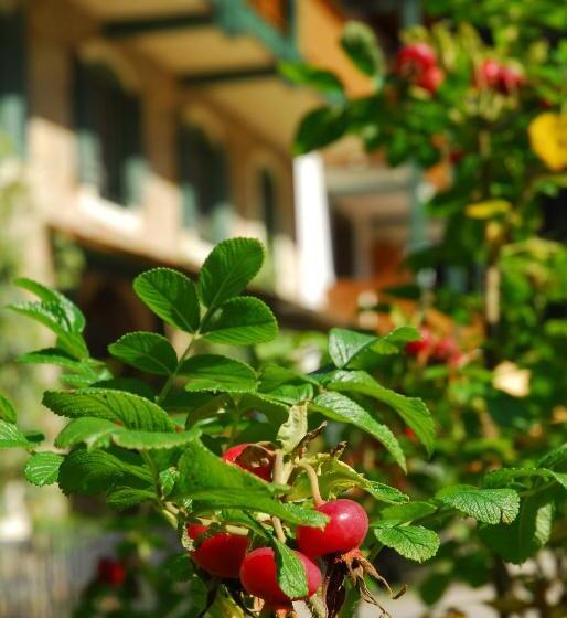 Naturidyll Hotel Hammerschmiede