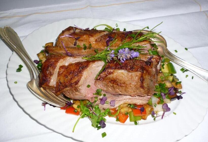 膳宿费 Gasthof Schiff