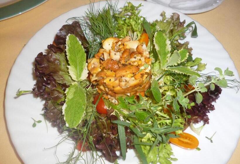 פנסיון Gasthof Schiff