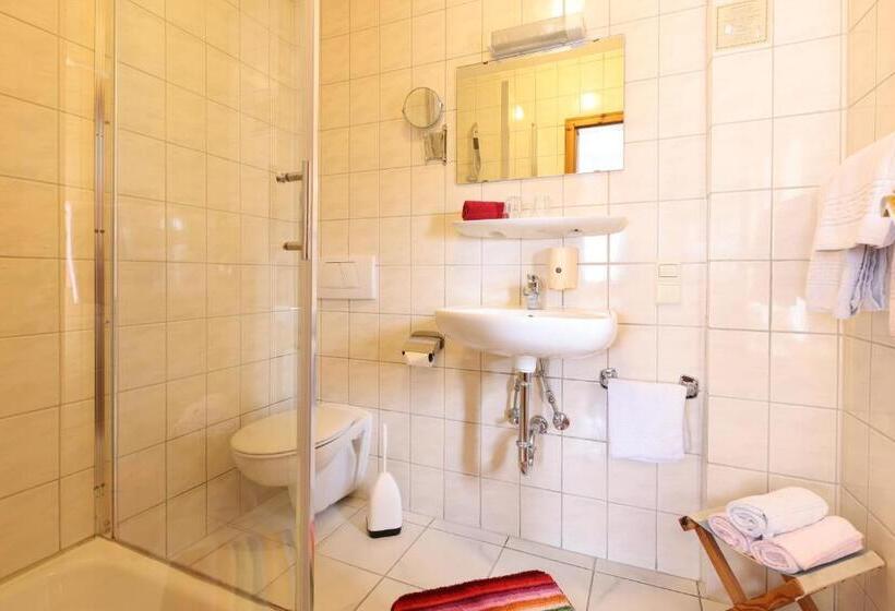 פנסיון Gasthof Schiff