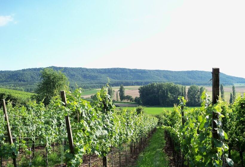 펜션 Landhotel Und Weingasthof Schwarzer Adler