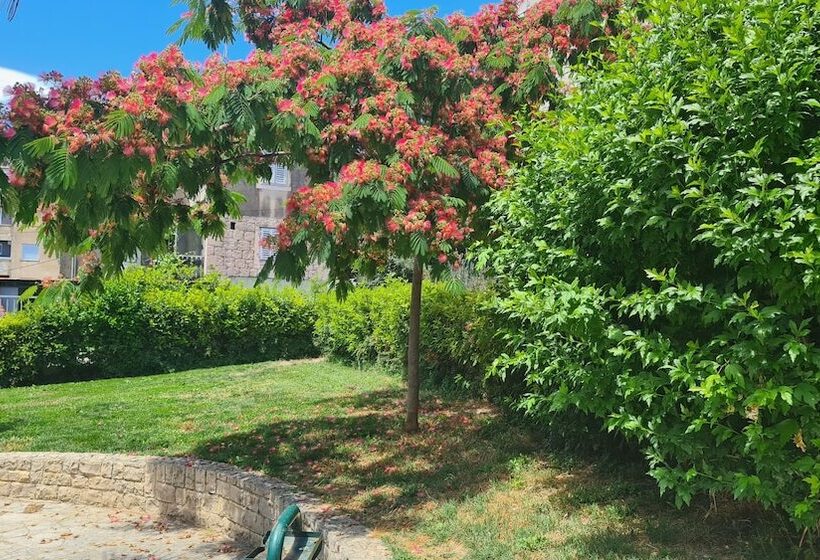 膳宿费 Luxury Garden Rooms