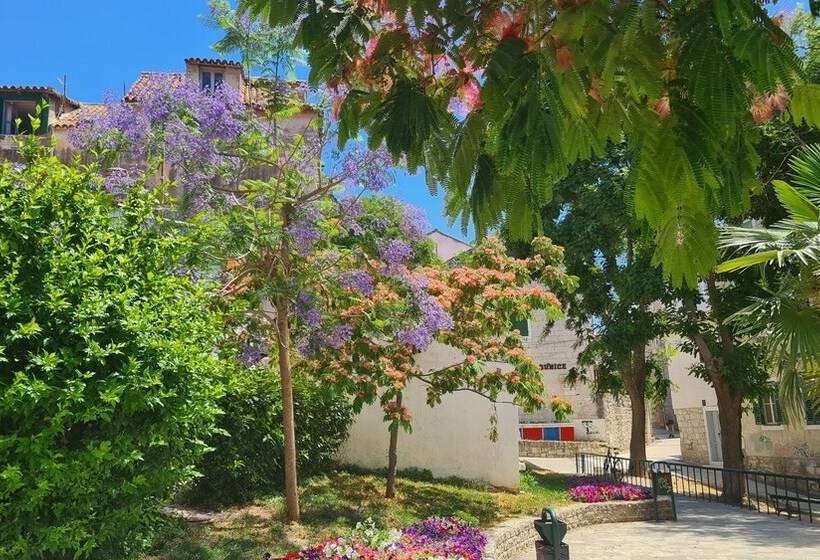 膳宿费 Luxury Garden Rooms