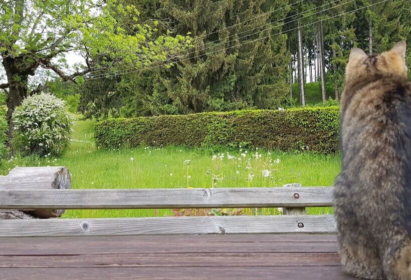 膳宿费 Roseggerhof