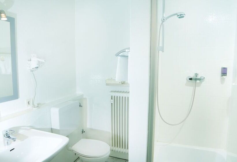 膳宿费 Zum Hirsch