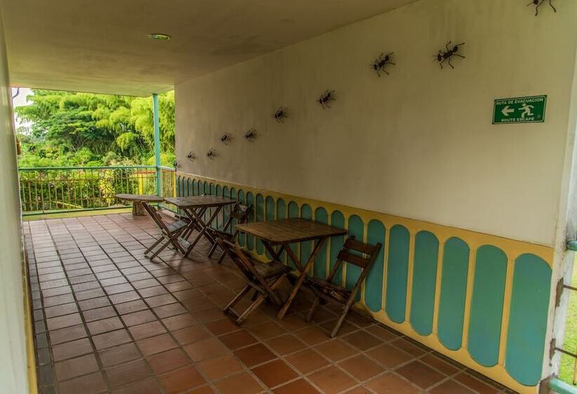 هتل Eden Parque Del Cafe