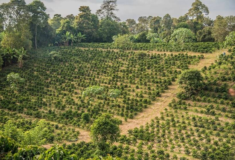 فندق Eden Parque Del Cafe