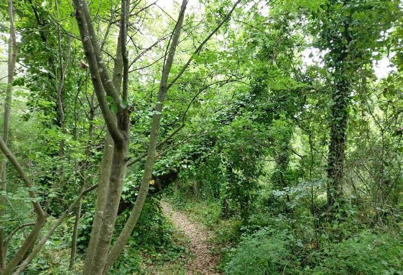 酒店 Furaha Villa Etna Trecastagni