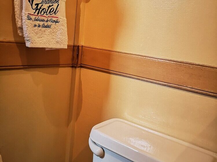 בית מלון כפרי Geranios