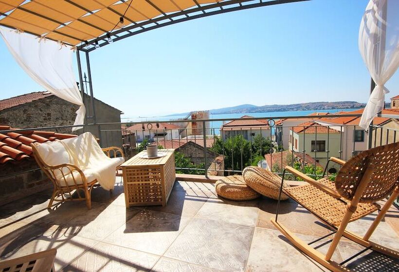 فندق Lunaria Guest House