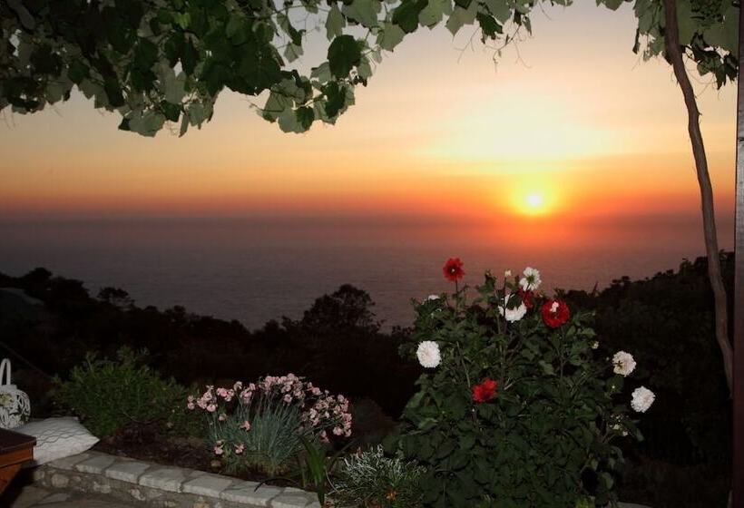 호텔 Panorama Villas