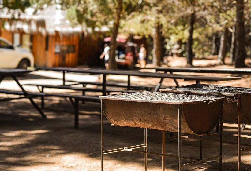 בית מלון כפרי Pao Pao Lodge Algarrobo