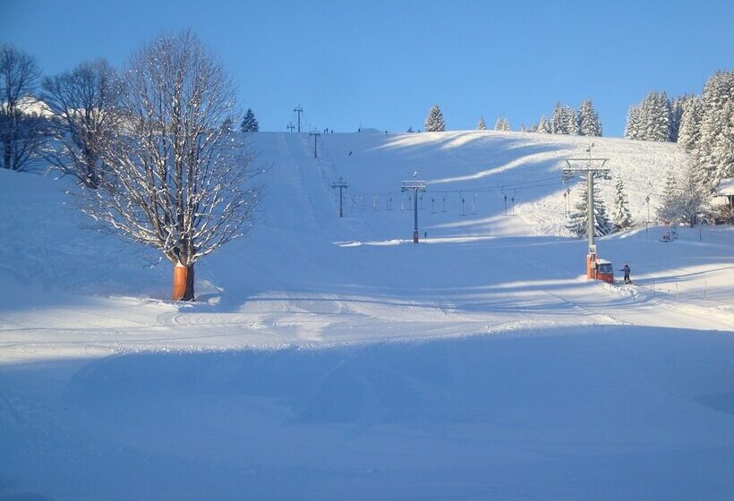 ホテル Garni Mittenwald
