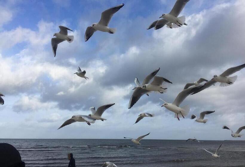 酒店 West Baltic Resort Wellness & Spa