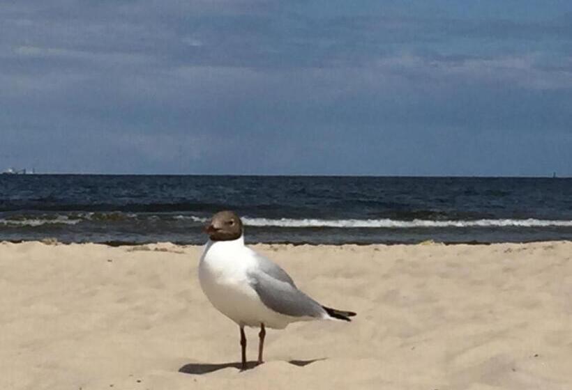 فندق West Baltic Resort Wellness & Spa