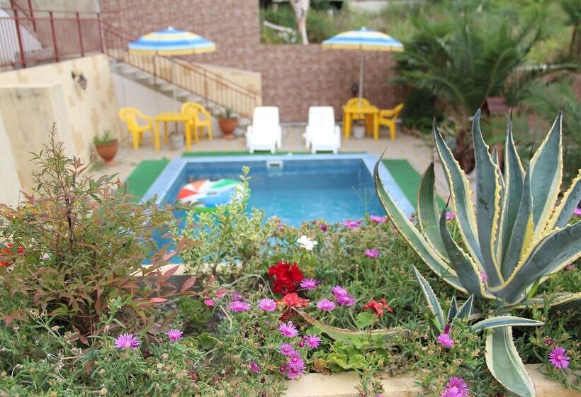 پانسیون Guest House Planeta Mov