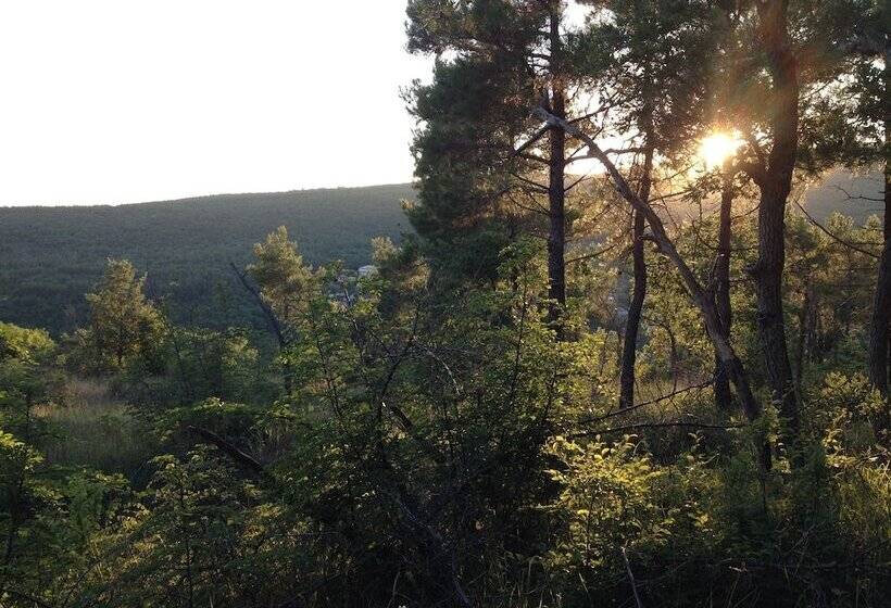 پانسیون Margarita