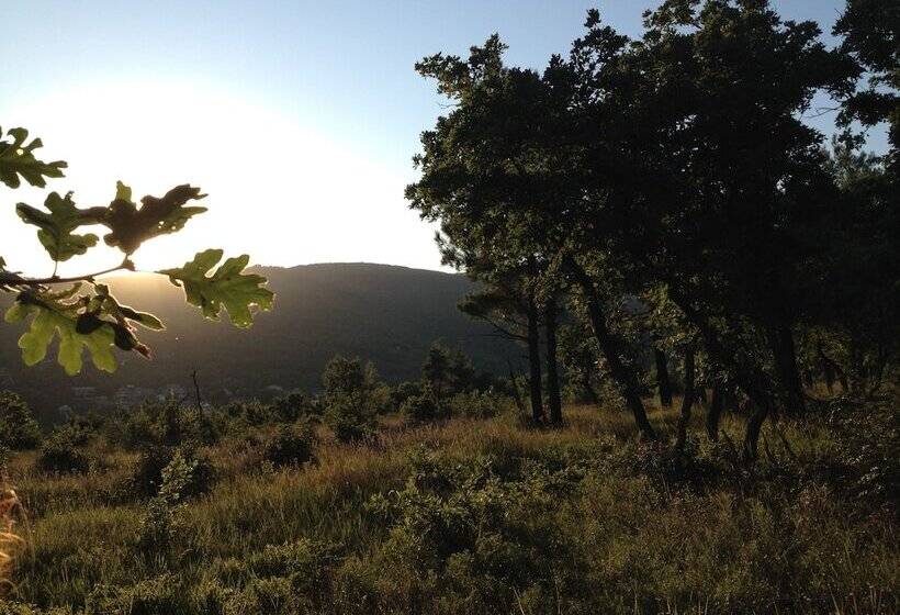 پانسیون Margarita