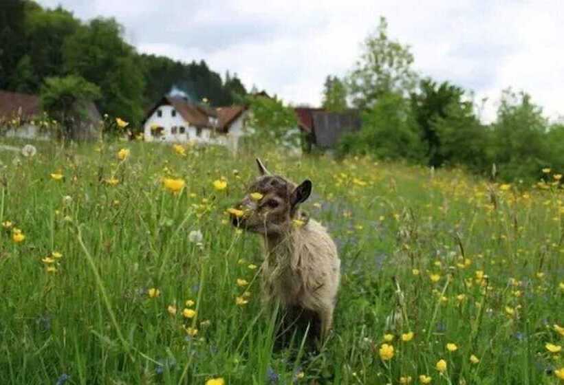 Пансион Winzerhof Strablegg