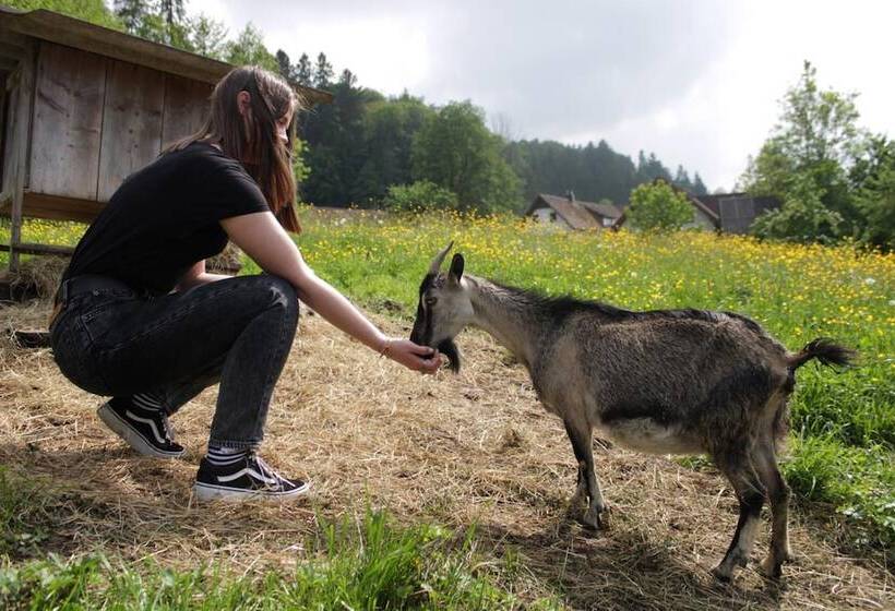 Пансион Winzerhof Strablegg