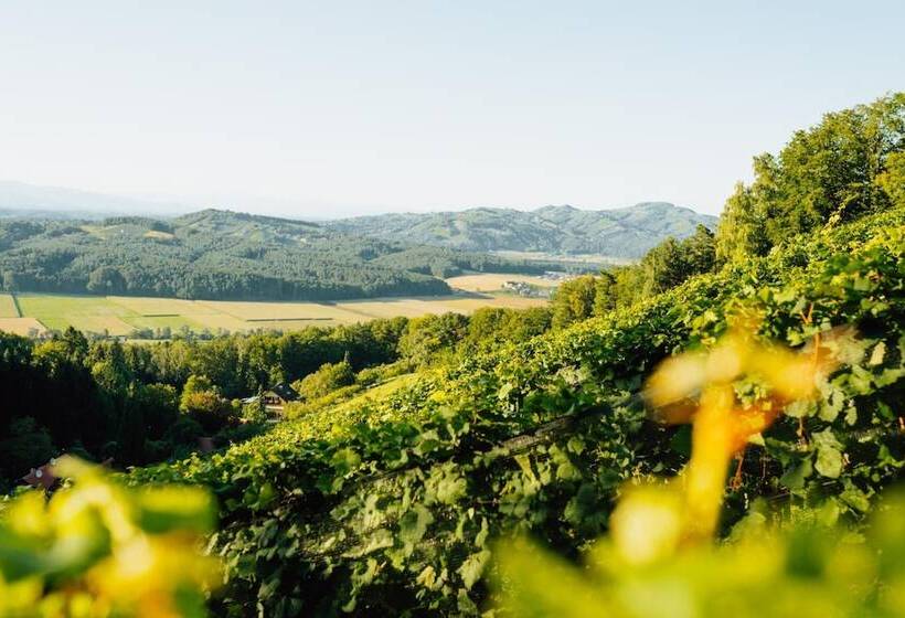 Пансион Winzerhof Strablegg