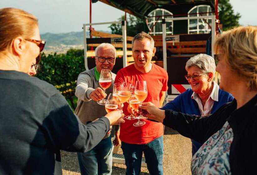 膳宿费 Winzerhof Strablegg