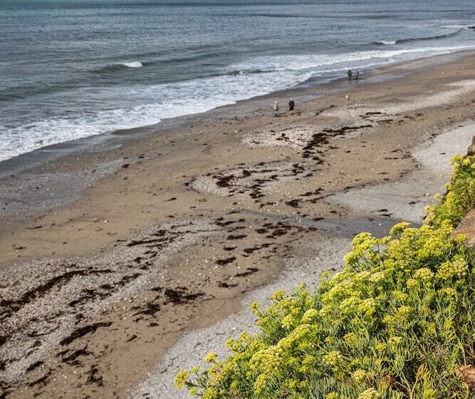 The Inn On The Shore