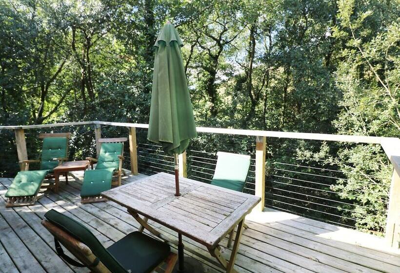 6 Streamside