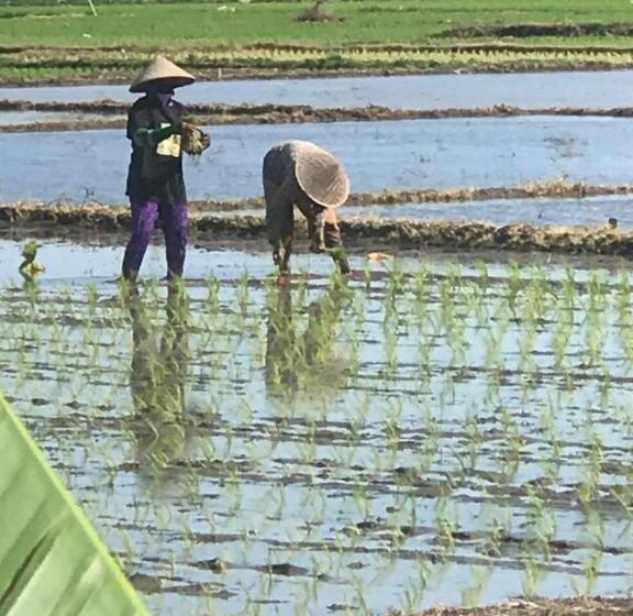 Общежитие Bali Eco Living Yoga Healing Meditation And Retreat Center