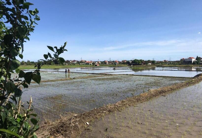 Общежитие Bali Eco Living Yoga Healing Meditation And Retreat Center