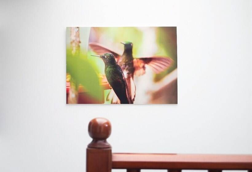 فندق صغير Casa Madero