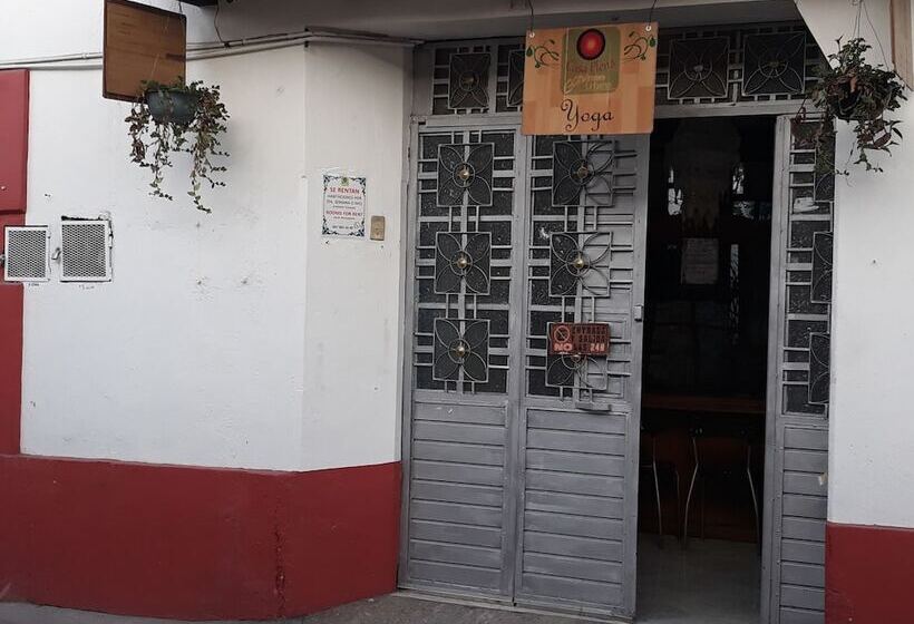 Общежитие Casa Plena Ashram Urbano