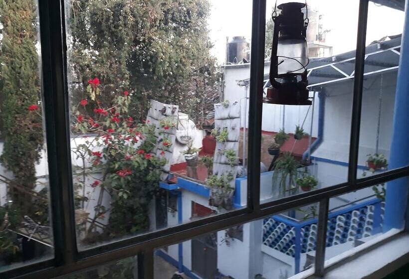 Общежитие Casa Plena Ashram Urbano