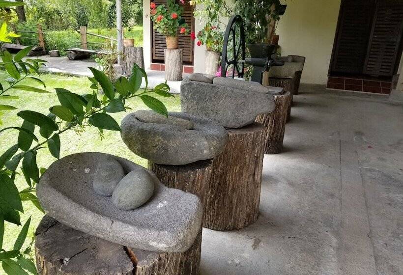 هاستل Hacienda San Isidro De Iltaqui