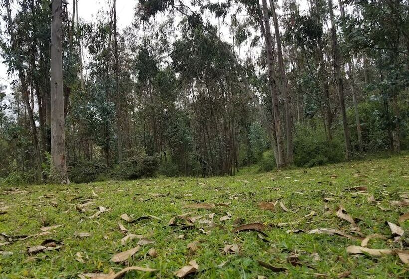 هاستل Hacienda San Isidro De Iltaqui