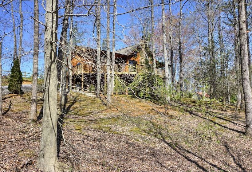 Always Delightful #411