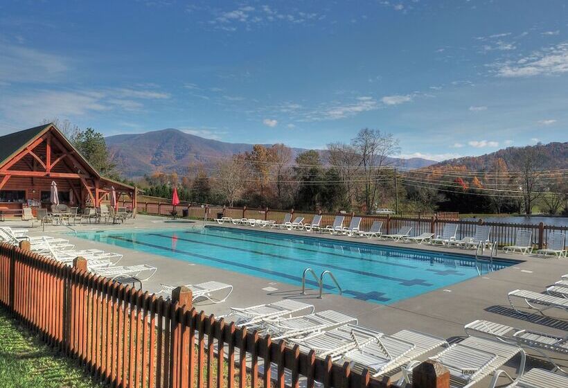 Always Delightful #411