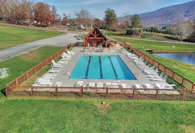 Always Delightful #411