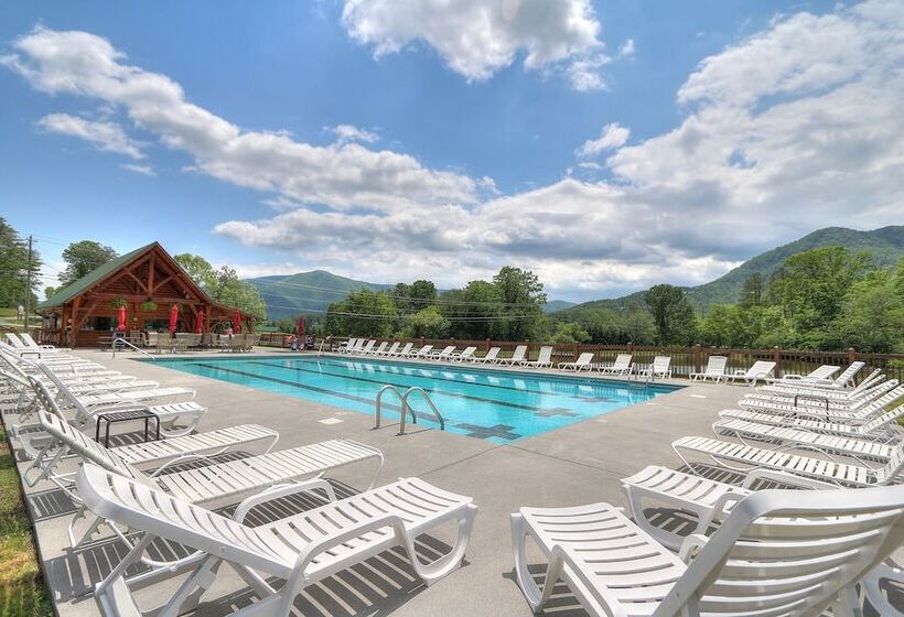 Always Delightful #411