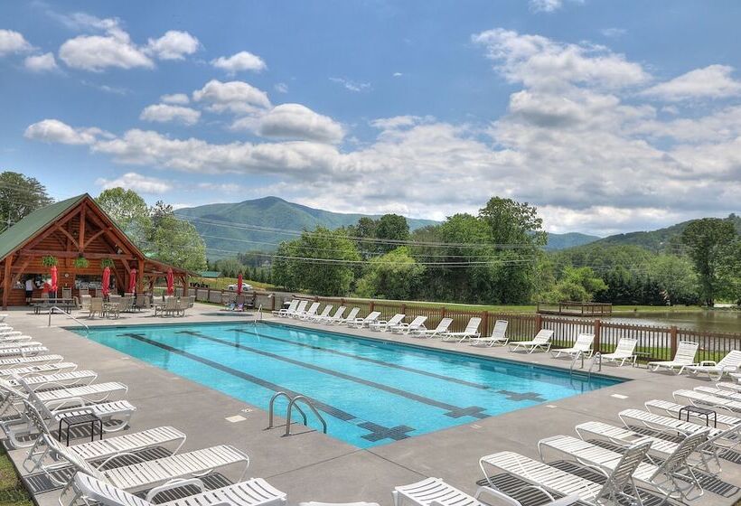 Always Delightful #411