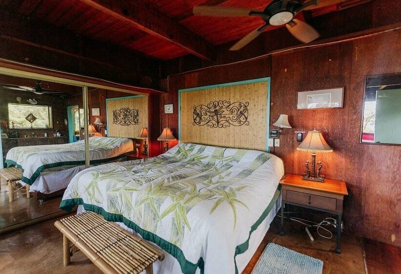 مبيت وإفطار Dragonfly Ranch